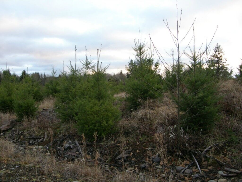 Property Photo:  0tract B Wynooche Valley Rd  WA 98563 