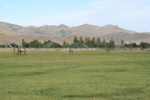 Property Photo:  201 Equus Loop  ID 83313 