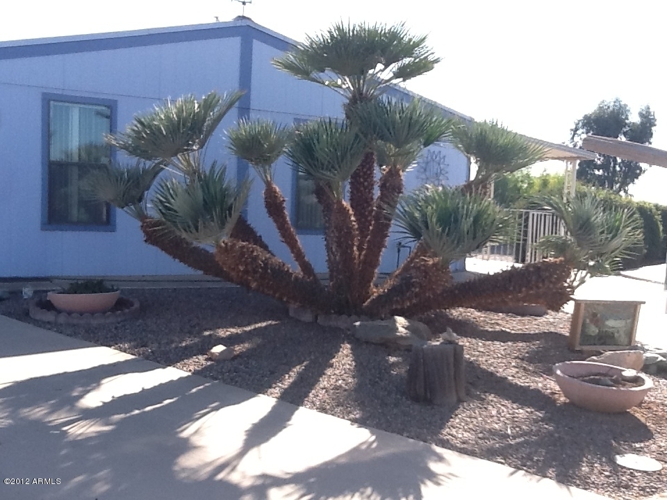 Property Photo:  9106 E Sun Lakes Boulevard S  AZ 85248 