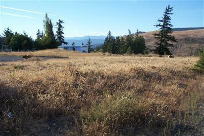 Property Photo:  321 Highline Lp  WA 98922 