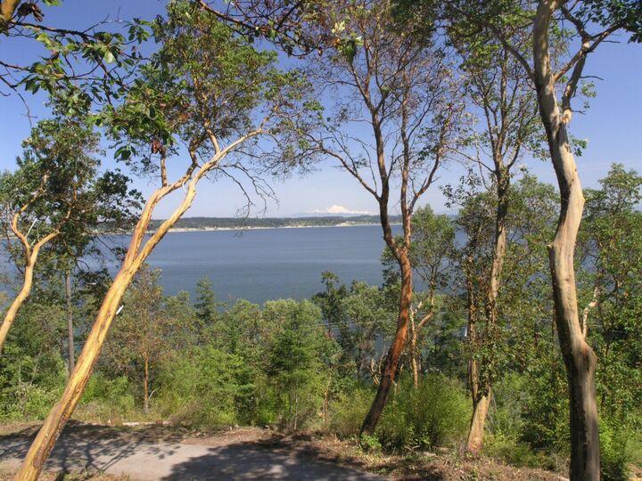 Property Photo:  2031 Madrona Wy  WA 98239 