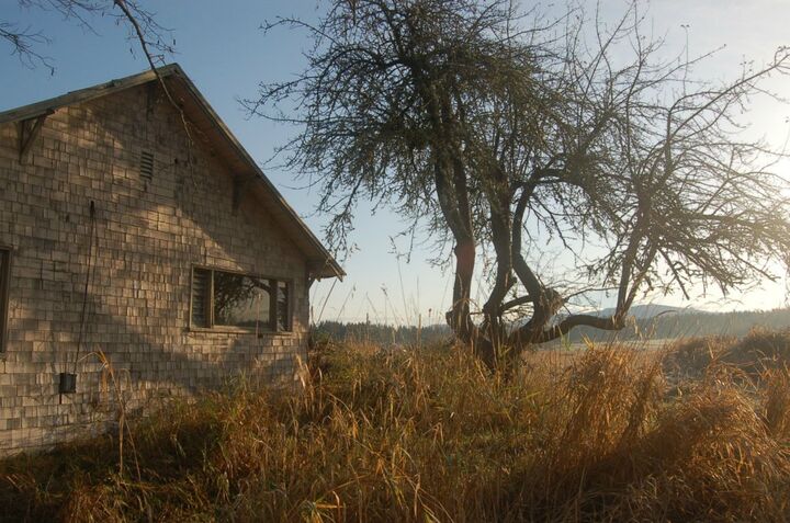 Property Photo:  8808 Guske Rd E  WA 98375 