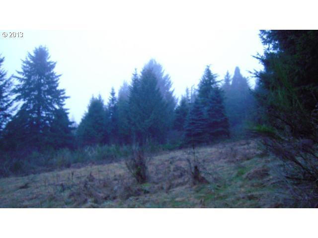 Property Photo:  0 SW Melott Rd  OR 97123 