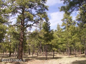 3224 N Jackrabbitt Lane  Flagstaff AZ 86001 photo