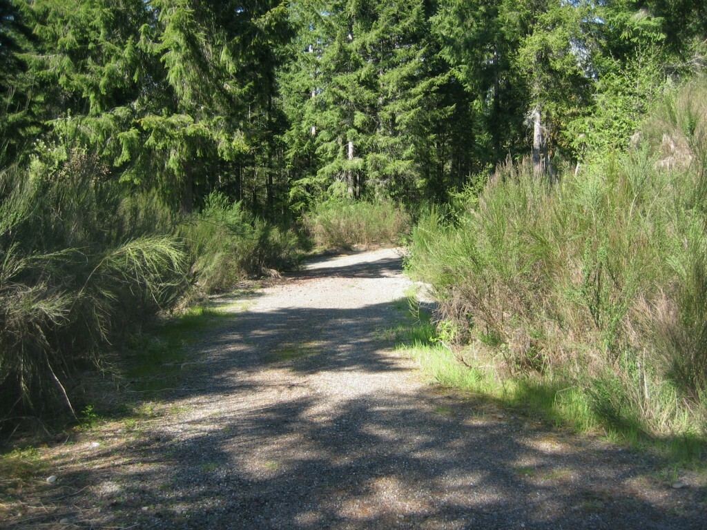 Property Photo:  0 12 Lots Off Centerline Rd  WA 98524 