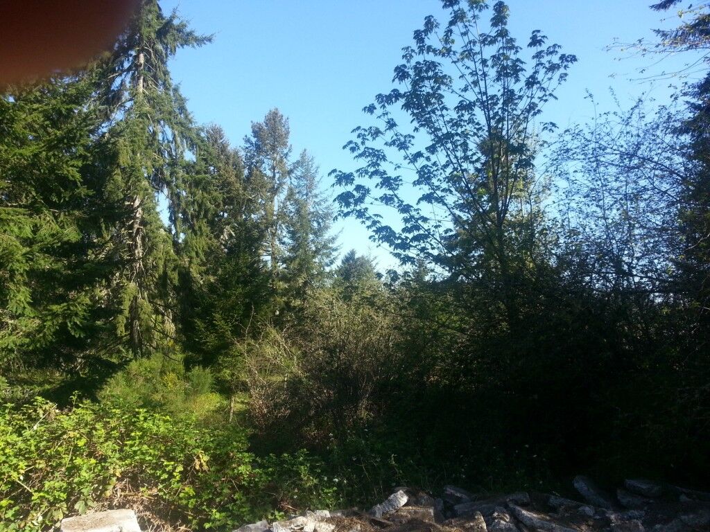 Property Photo:  0xxxx 72nd Ave SE  WA 98580 