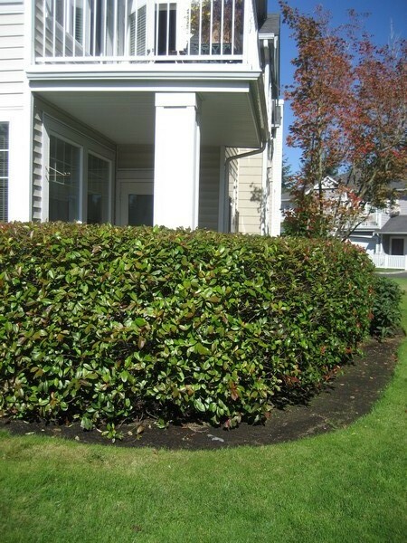 Property Photo:  23430 55th Ave S  WA 98032 