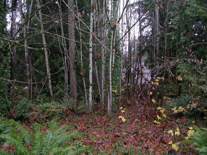 Property Photo:  21817 W Lost Lake Rd  WA 98296 