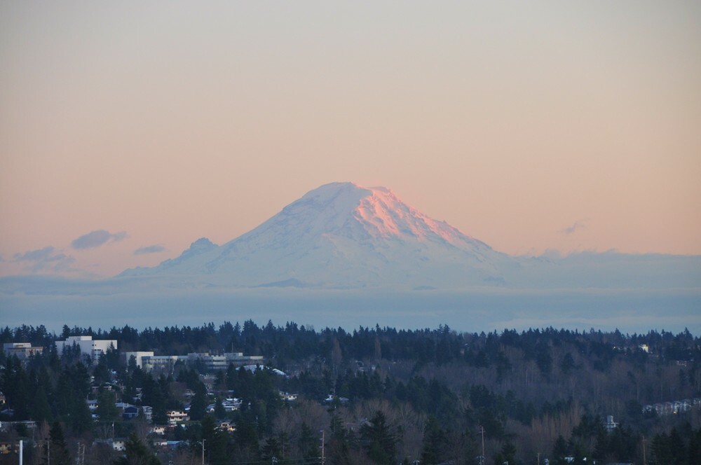 Property Photo: 21205 5th Ave S WA 98198