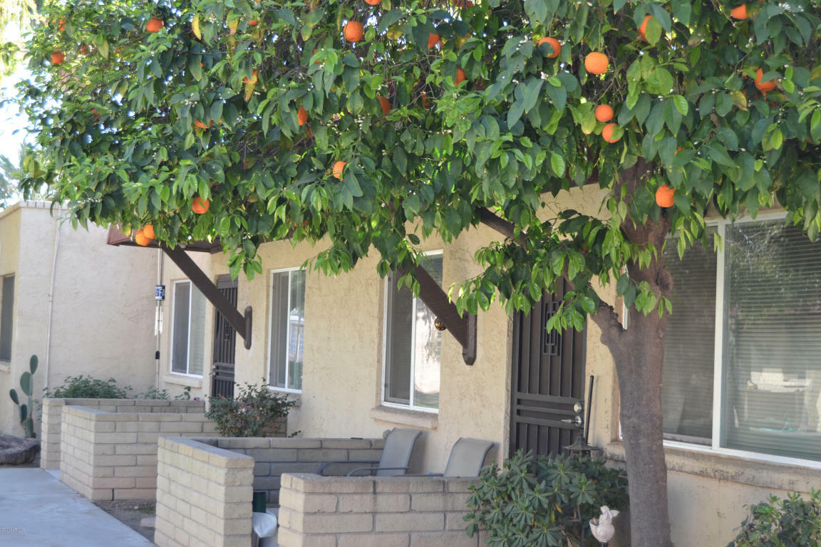 Property Photo: 3626 N 37th Street 6 AZ 85018