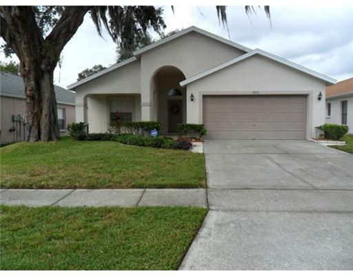 Property Photo:  6809 Silver Branch Court  FL 33625 