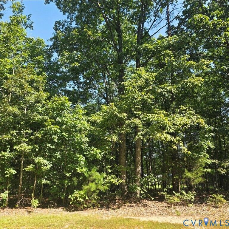 Property Photo:  0 Watson Boulevard  VA 23954 