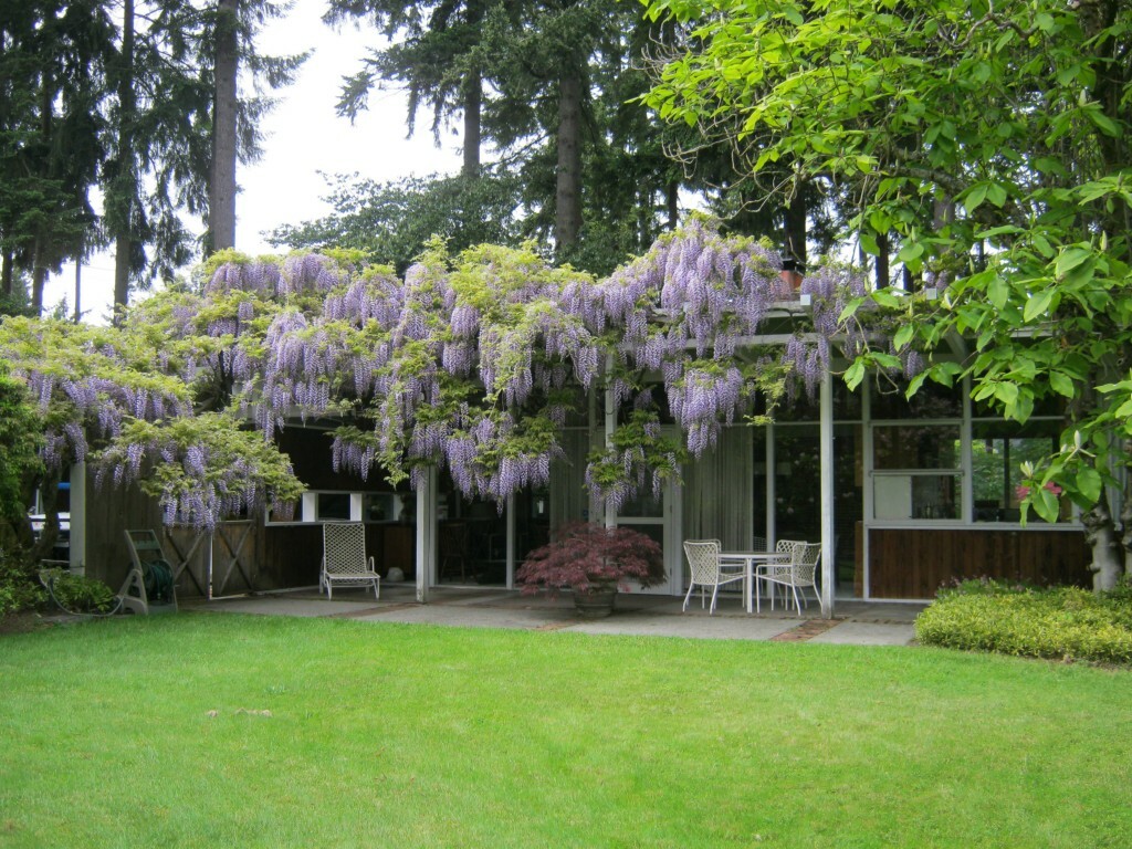 Property Photo: 10404 SE 23rd St WA 98004