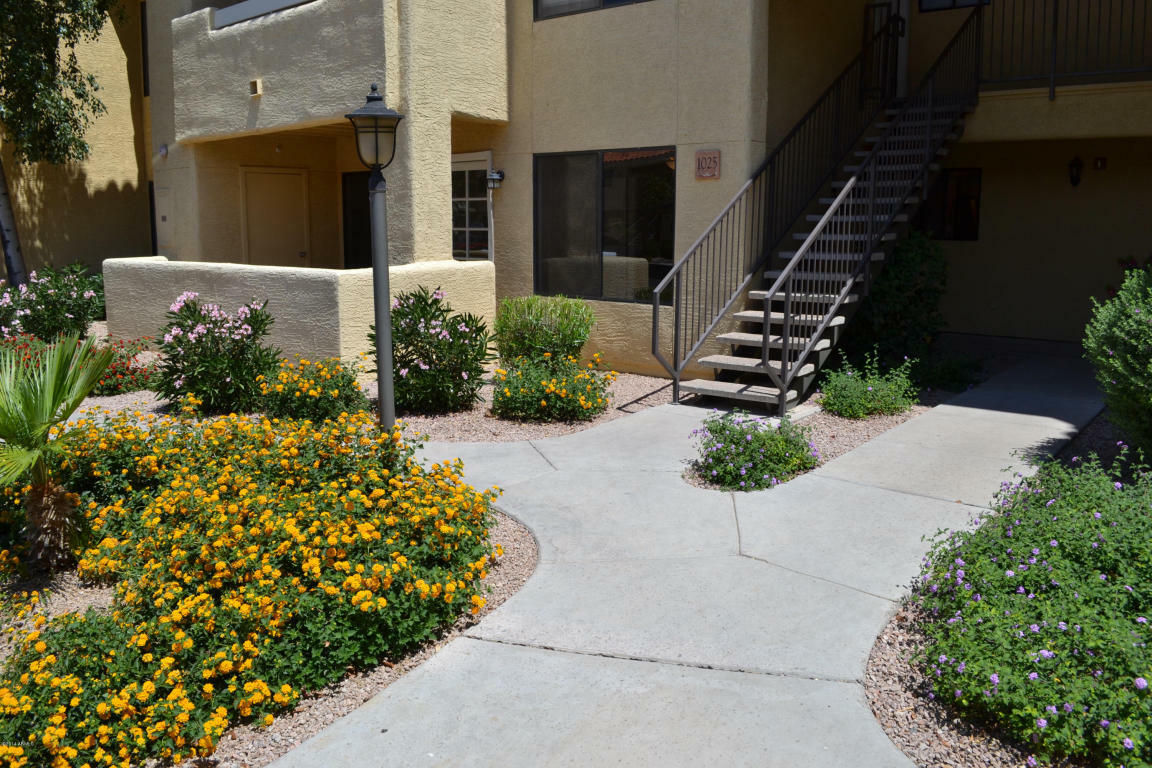 Property Photo:  9990 N Scottsdale Road 1025  AZ 85253 