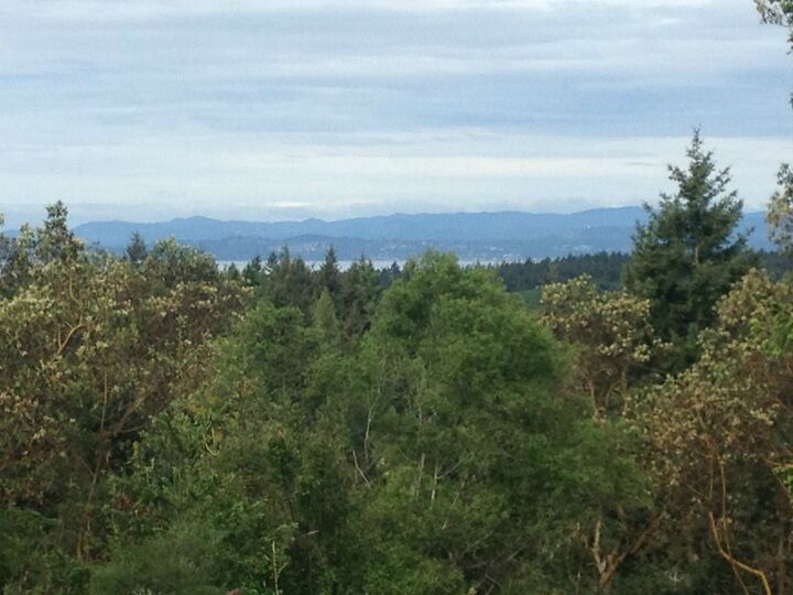 Property Photo: 0 Trevethan Hollow WA 98250