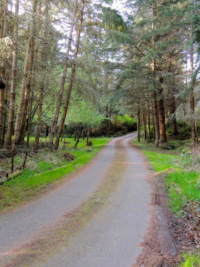 Property Photo:  3675 Smugglers Cove Rd  WA 98253 