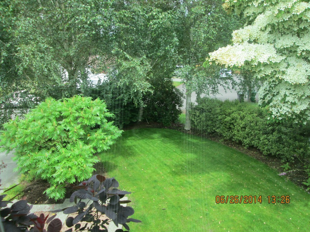 Property Photo: 12620 50th Dr SE WA 98208