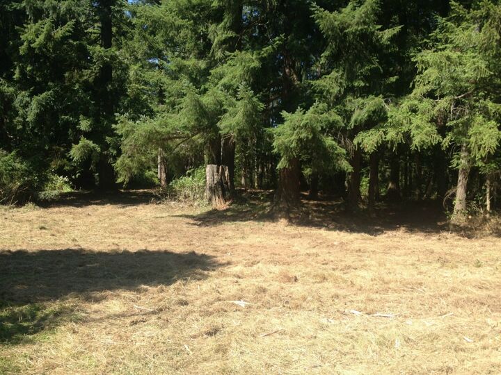 Property Photo:  15627 240th St E  WA 98338 