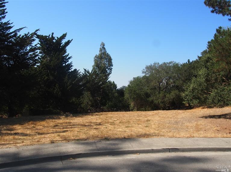 Property Photo: 180 Grant Court CA 94952
