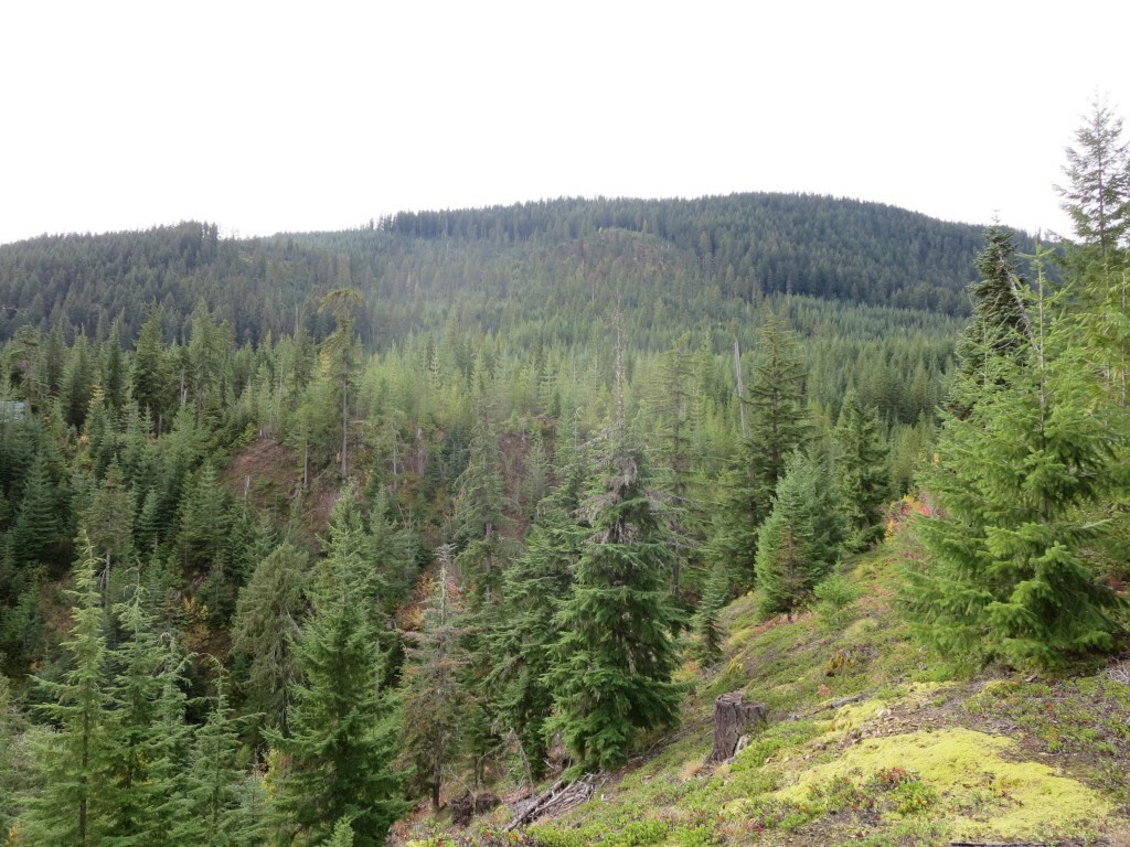 Property Photo:  603 Dandy Pass Road  WA 98925 