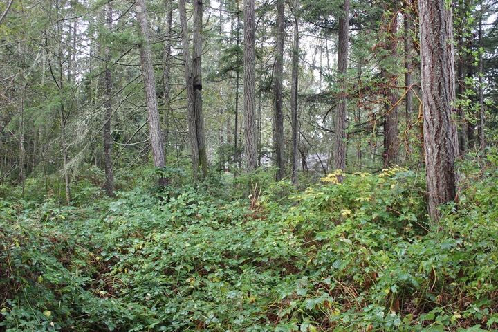 1 40th Av Ct NW  Gig Harbor WA 98332 photo