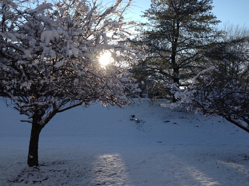 Property Photo:  38 Fieldstone Rd  NJ 07921 