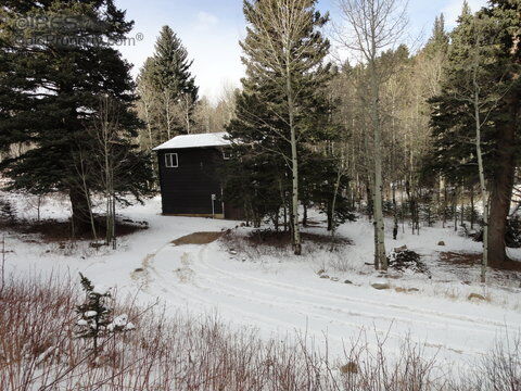 Property Photo: 1644 Cold Springs Rd CO 80466