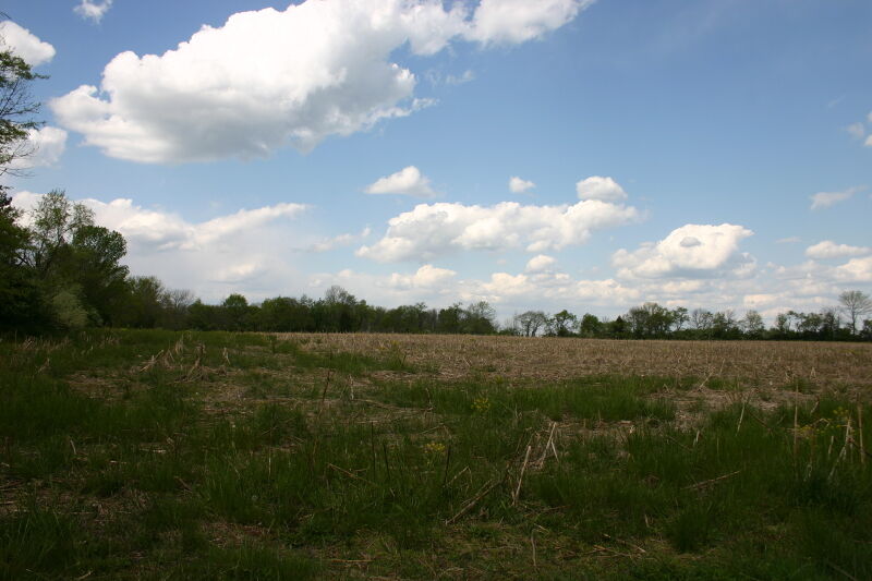 Property Photo:  157 Ridge Rd  NJ 08825 