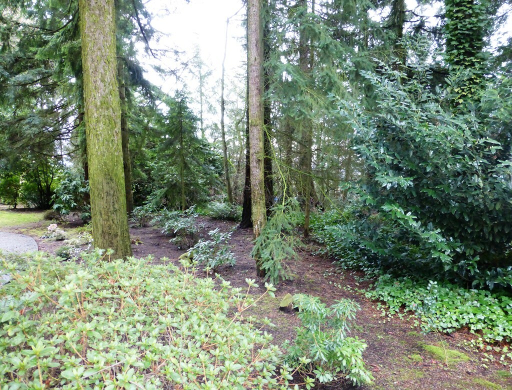 Property Photo:  2300 126th Ave NE  WA 98005 