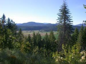 Lot 2 Palmer Loop  Chewelah WA 99109 photo