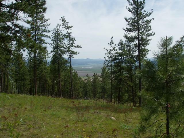 Lot 24 Palmer Loop  Chewelah WA 99109 photo