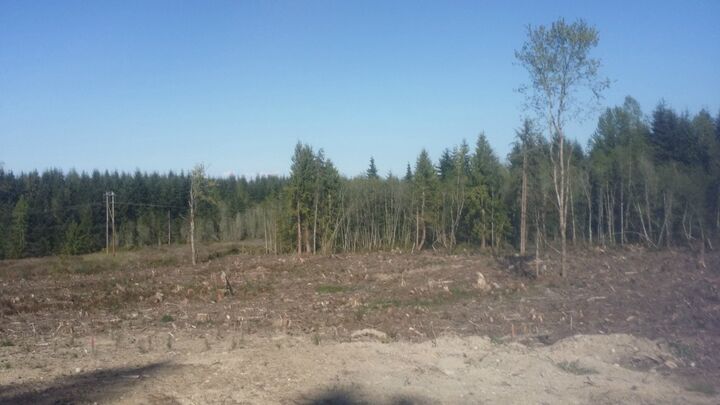 Property Photo:  0 Amarillo Rd  WA 98362 