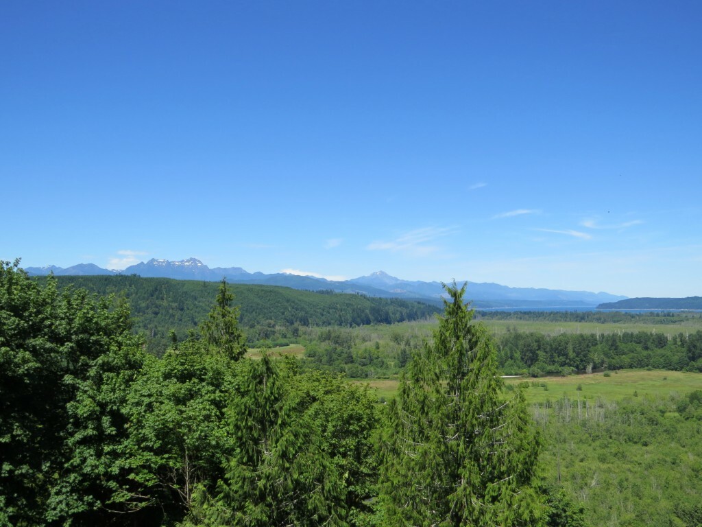 Property Photo: 1251 E Eagle Point Dr WA 98584
