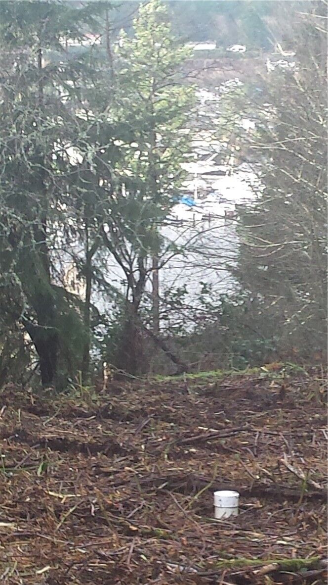 8228 26th Ave NW  Gig Harbor WA 98335 photo