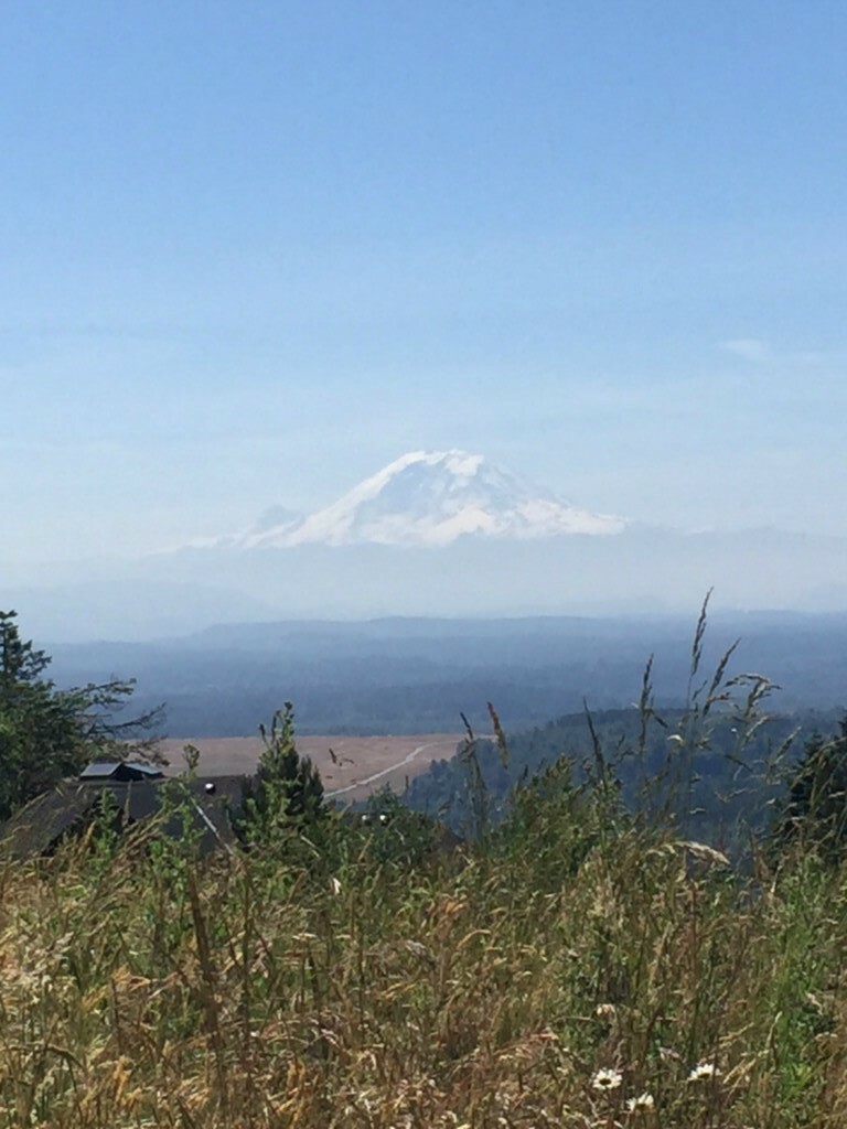 Property Photo: 115 206th Place SE WA 98027