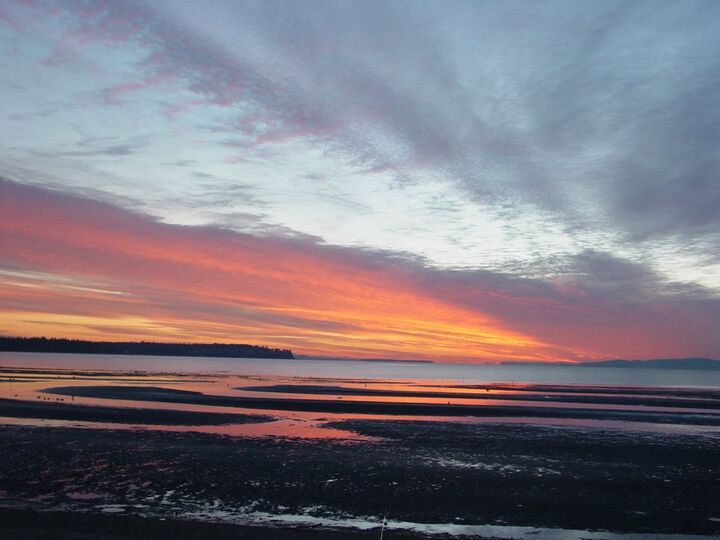 Property Photo:  7714 Birch Bay Dr 411  WA 98230 