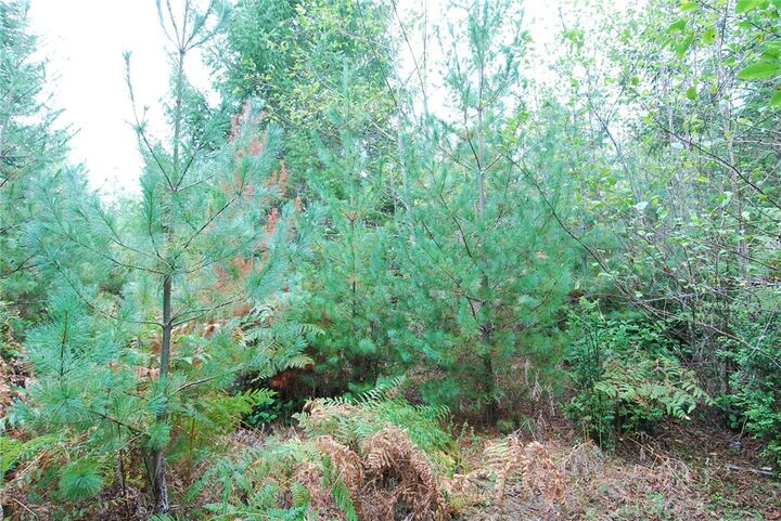 Property Photo:  Xxx E Mason Lake Dr W  WA 98546 