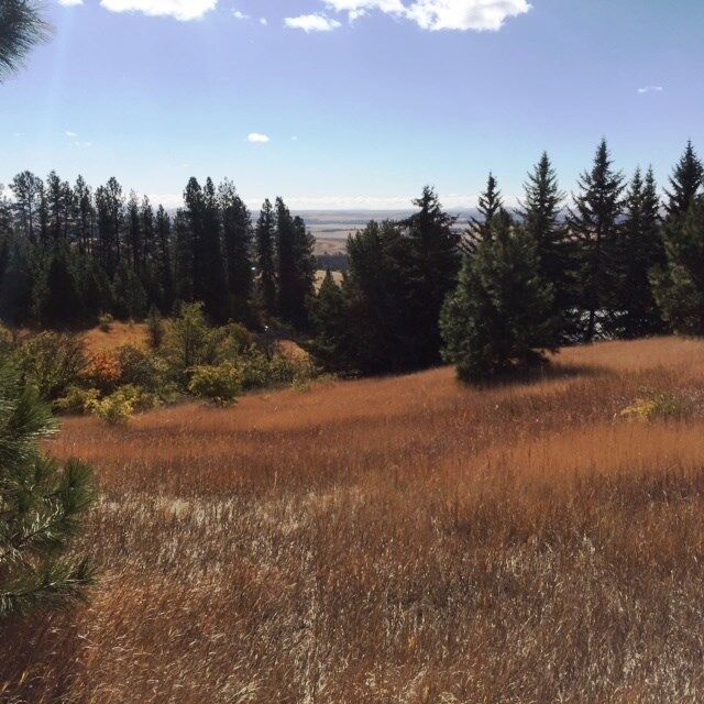 Property Photo:  7424 E Big Rock Rd  WA 99223 