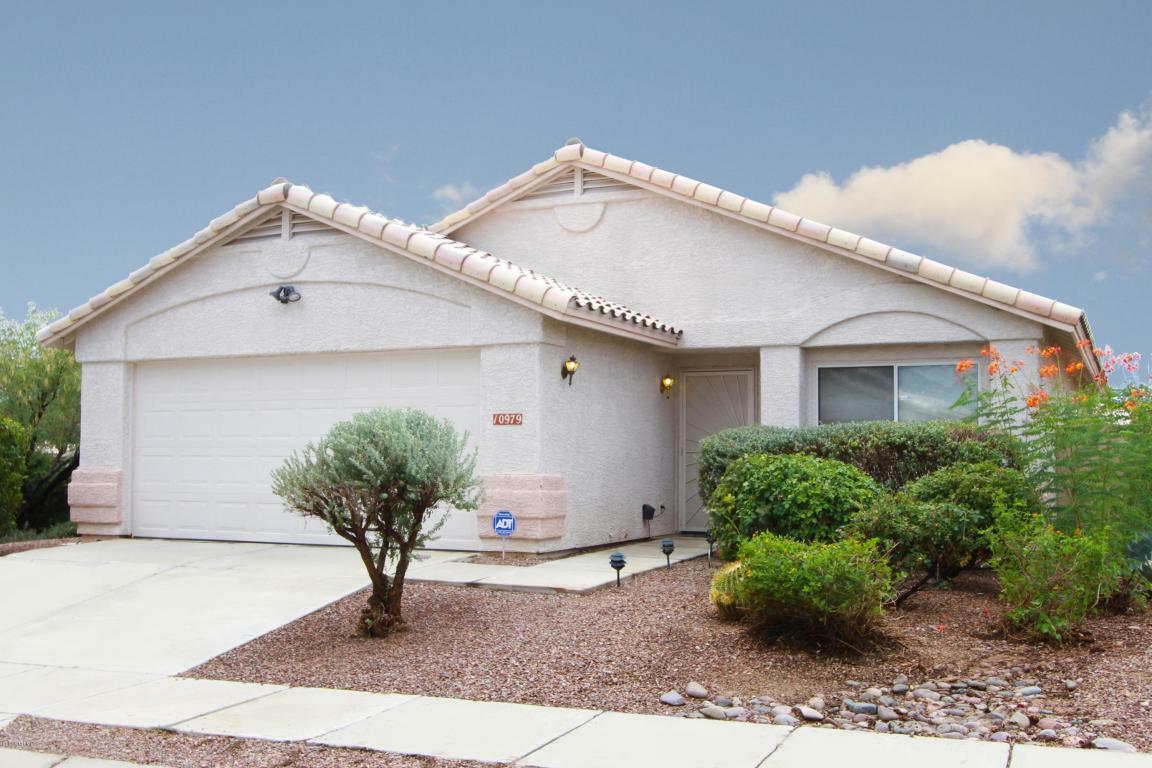 Property Photo:  10979 N Double Eagle Court  AZ 85737 