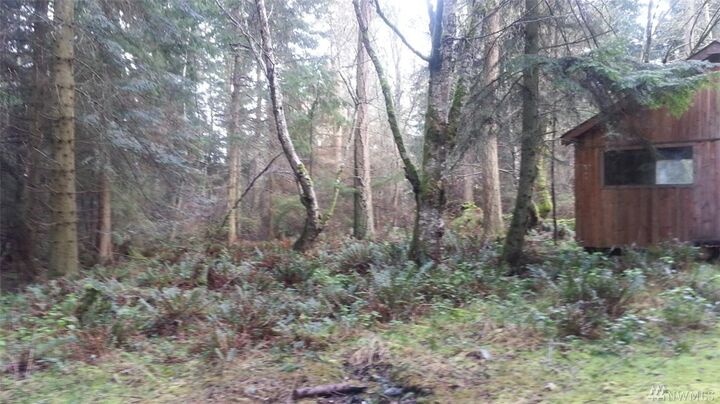 Property Photo: 37 Thatcher Pass Rd WA 98221