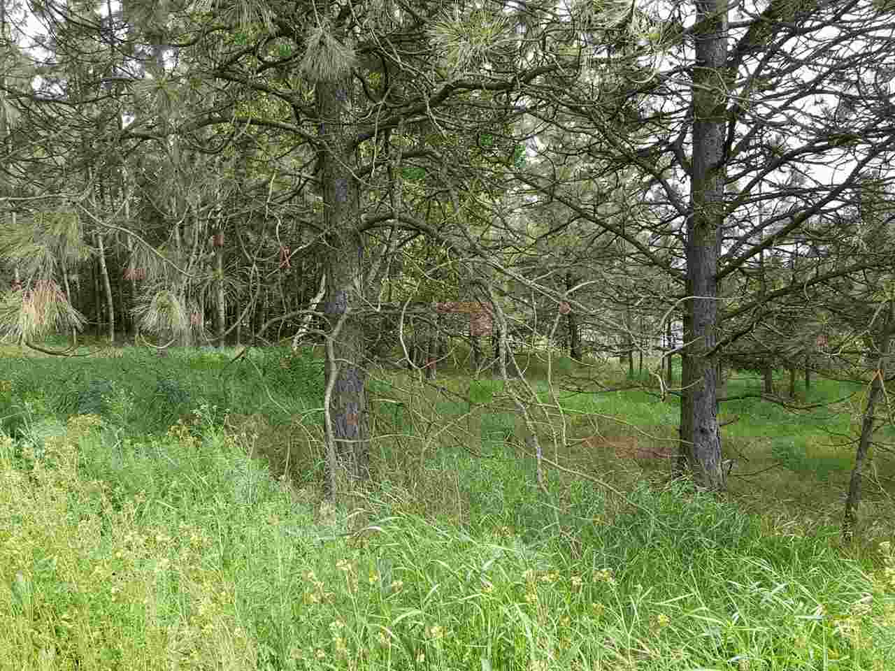 Property Photo: 16911 W Lakeside Dr WA 99022