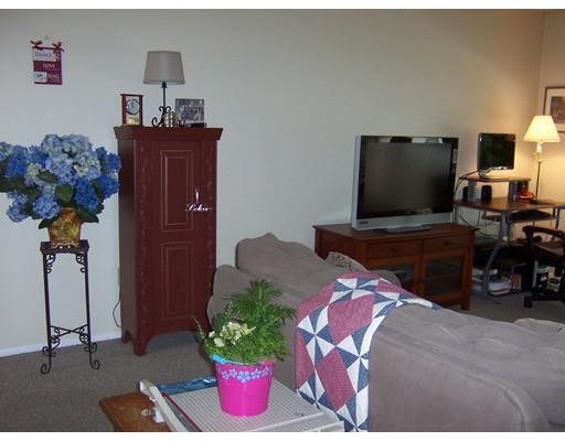 Property Photo: 244 Nassau Dr 244 MA 01129