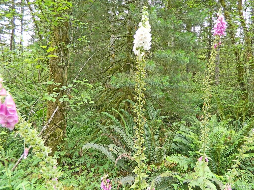 Property Photo:  4559  Minard Road W  WA 98312 