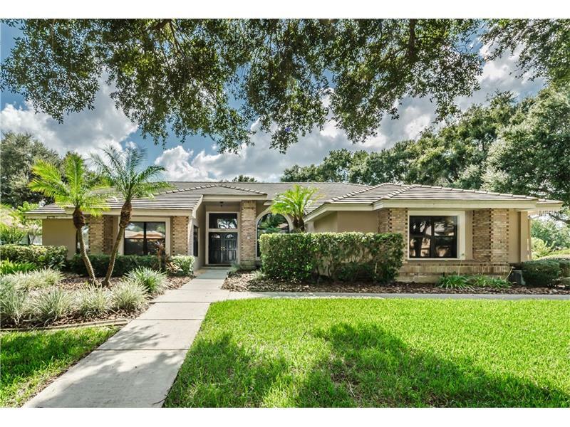 Property Photo:  3484 Woodridge Parkway  FL 34684 