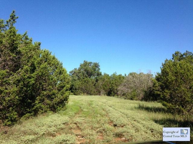 Property Photo:  501 Owl Hollow Road  TX 78666 