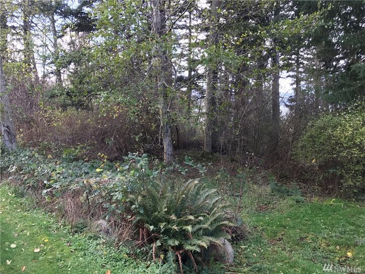 0 Island View Lane  Lummi Island WA 98262 photo
