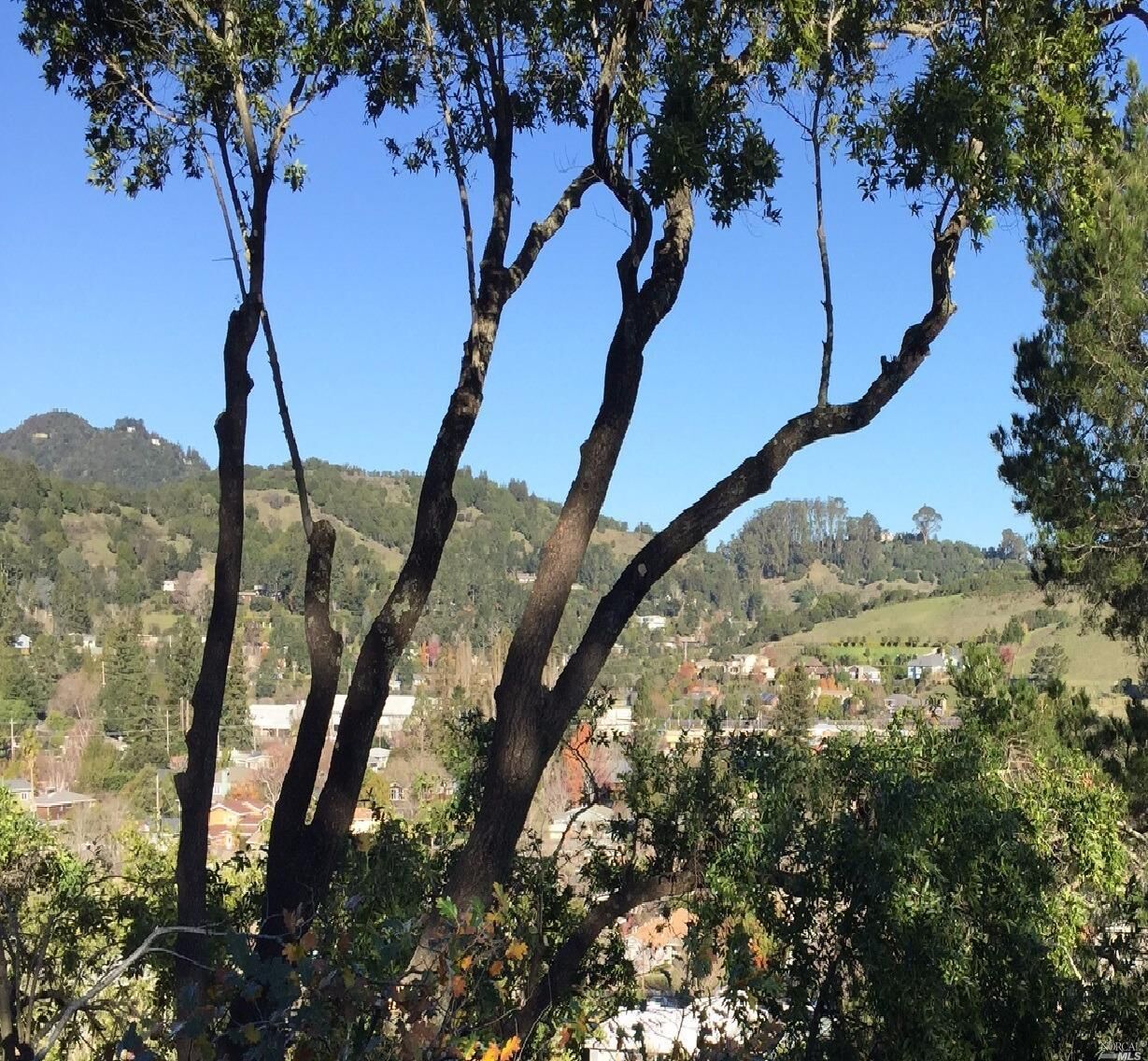 Property Photo:  25 Shelley Drive  CA 94941 