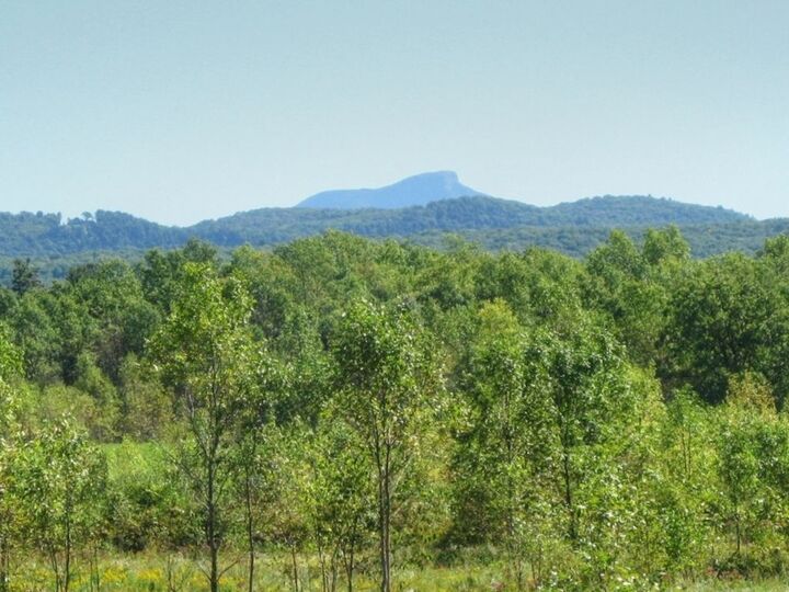Property Photo:  1702 Leavensworth Road  VT 05461 