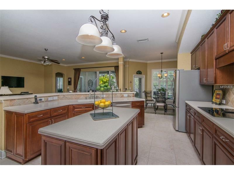 Property Photo:  11909 Mandevilla Court  FL 33626 