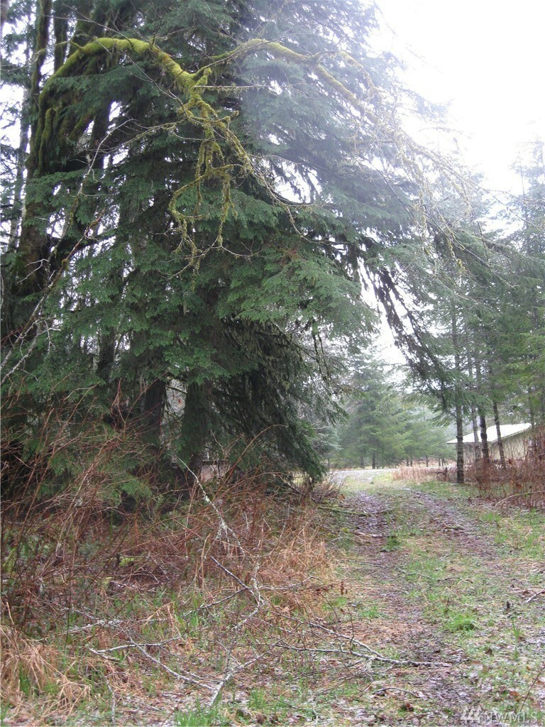 Property Photo:  1932 State Hwy 7  WA 98356 